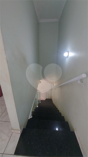 Foto REO1088487