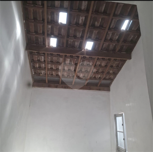 Foto REO1088497