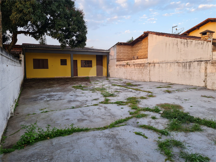 Foto REO1088501