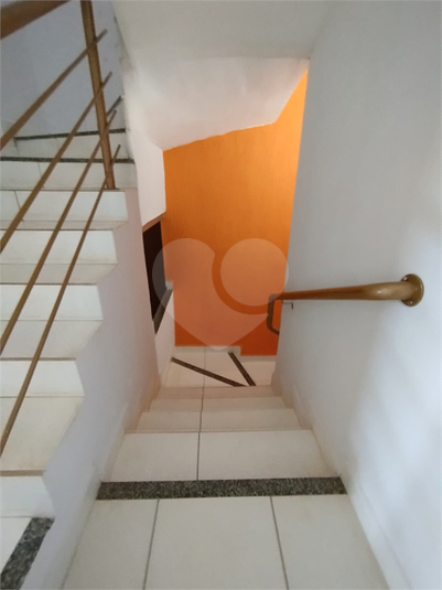 Foto REO1088513