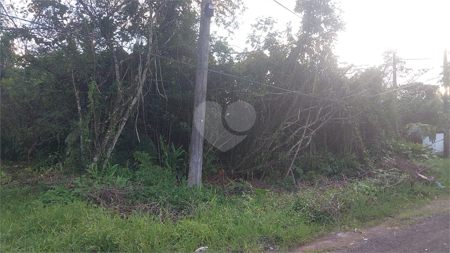 Foto REO1088515