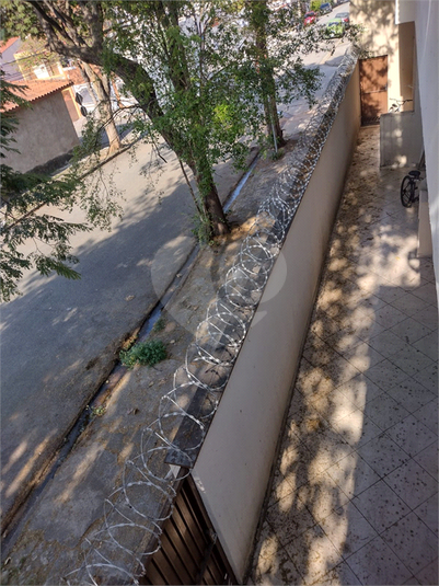 Foto REO1088518