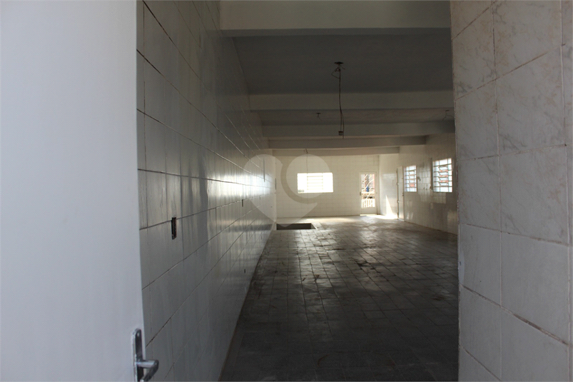 Foto REO1088520