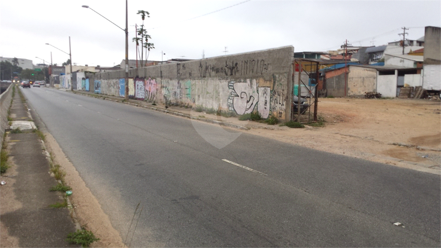 Foto REO1088522