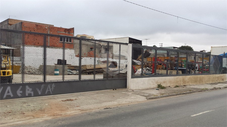 Foto REO1088522