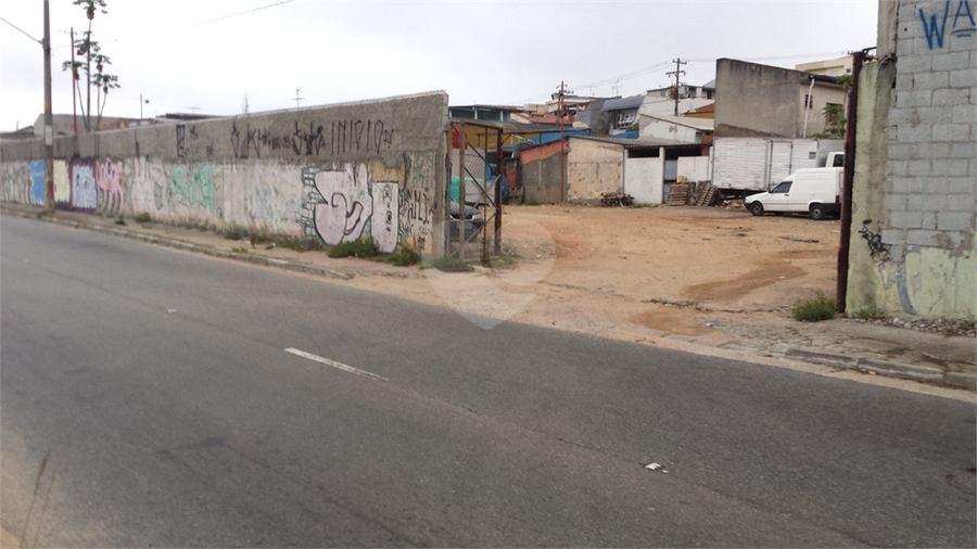 Foto REO1088522