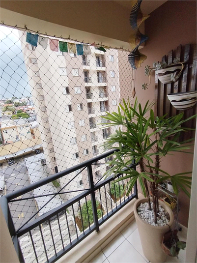 Foto REO1088524