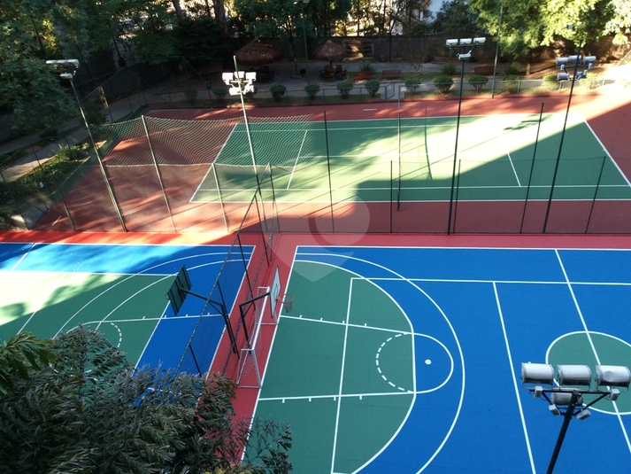 Foto REO1088526