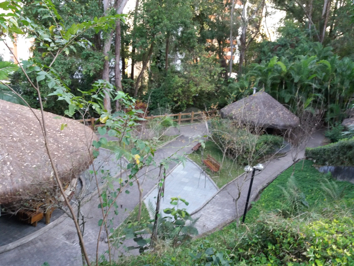 Foto REO1088526