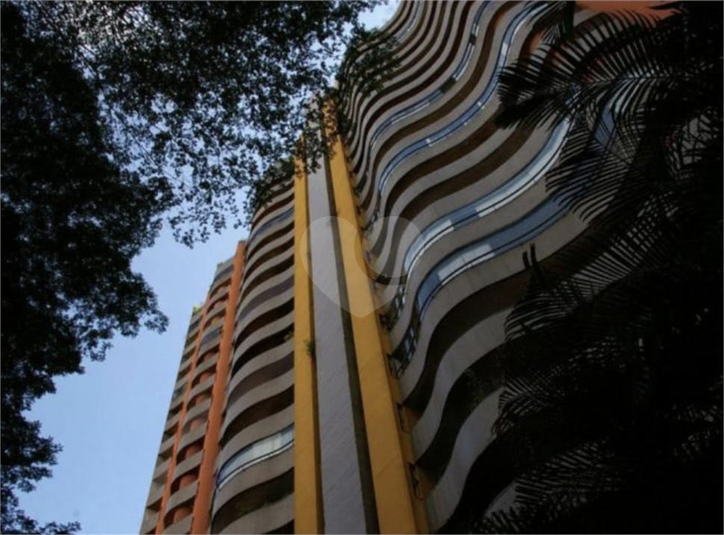Foto REO1088526