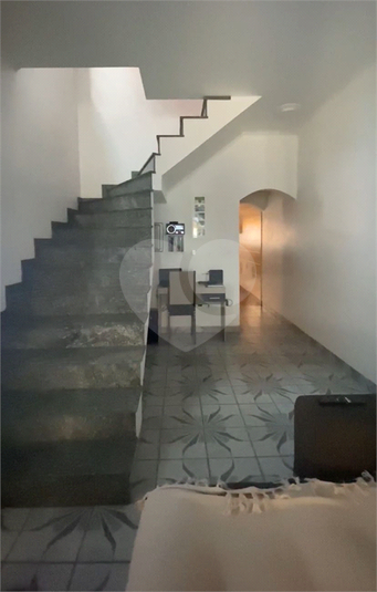 Foto REO1088527