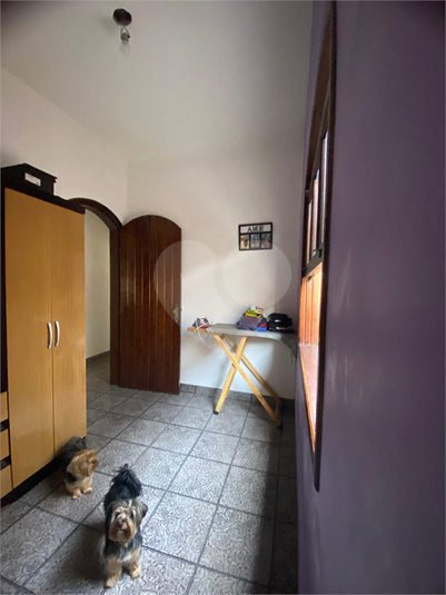 Foto REO1088527