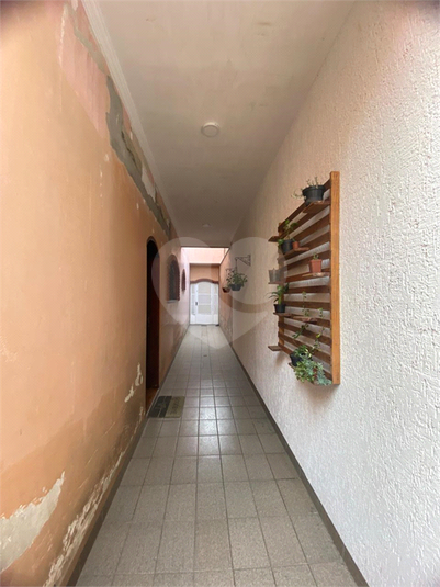 Foto REO1088527