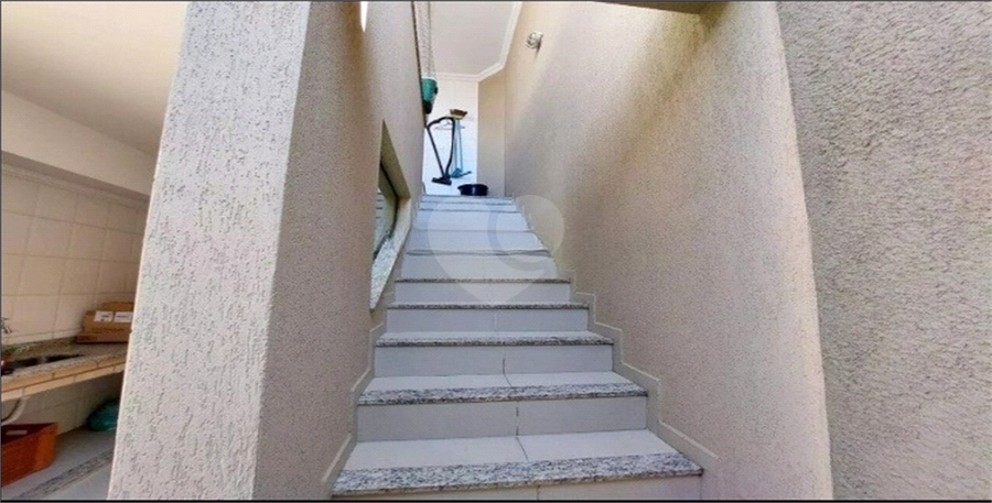 Foto REO1088530