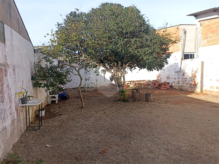Foto REO1088539