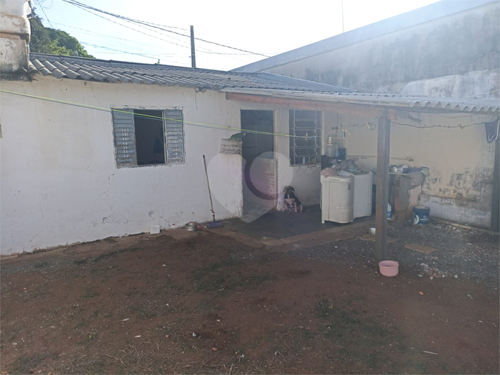 Foto REO1088539