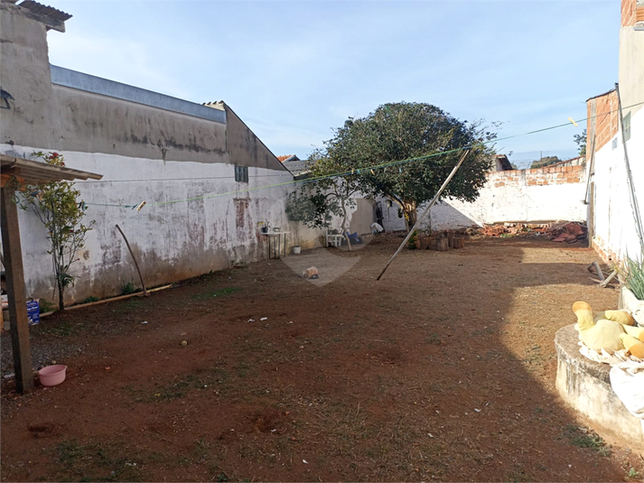 Foto REO1088539