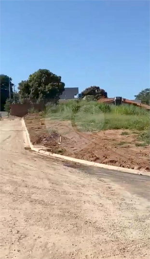 Foto REO1088540