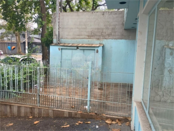 Foto REO1088543