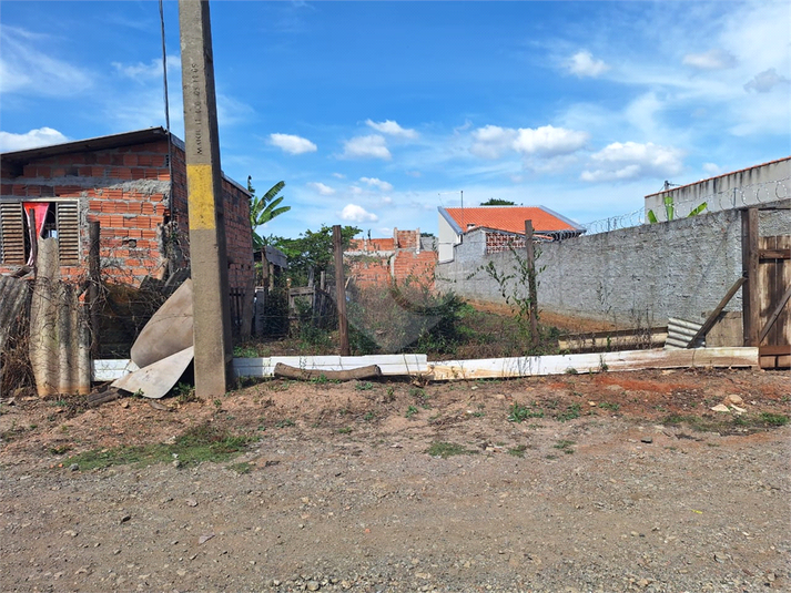 Foto REO1088544