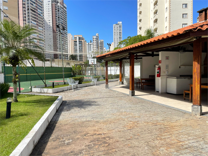 Foto REO1088546