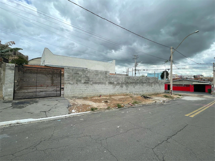 Foto REO1088547
