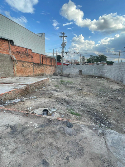 Foto REO1088547