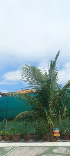 Foto REO1088548