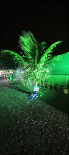 Foto REO1088548