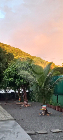 Foto REO1088548
