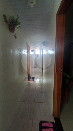 Foto REO1088548