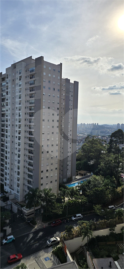 Foto REO1088550