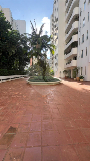 Foto REO1088567