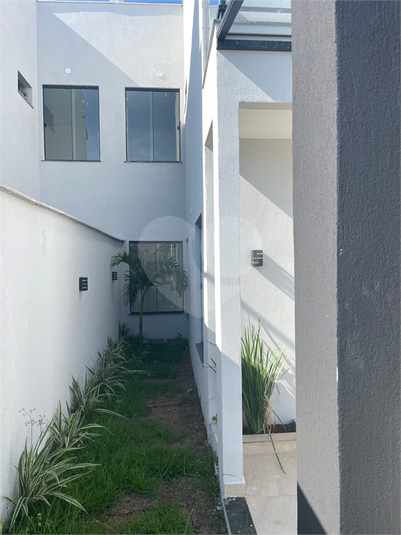 Foto REO1088571