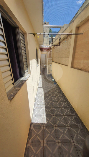 Foto REO1088574