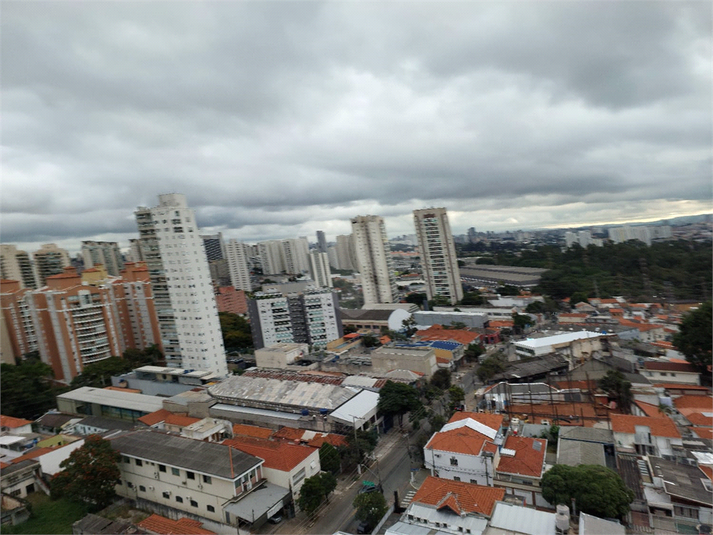 Foto REO1088587