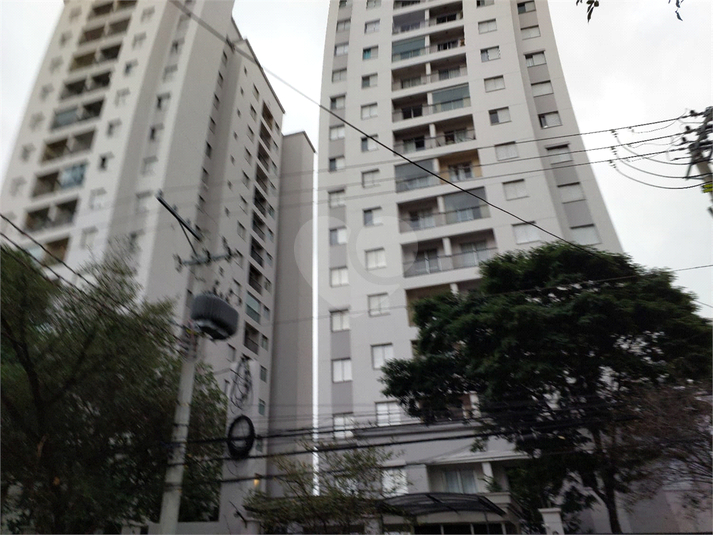 Foto REO1088587