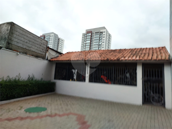 Foto REO1088587