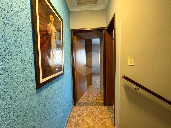 Foto REO1088597