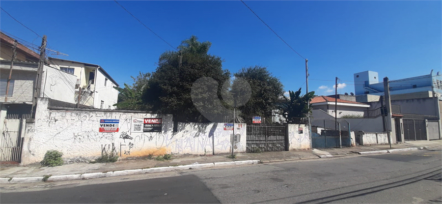 Foto REO1088607