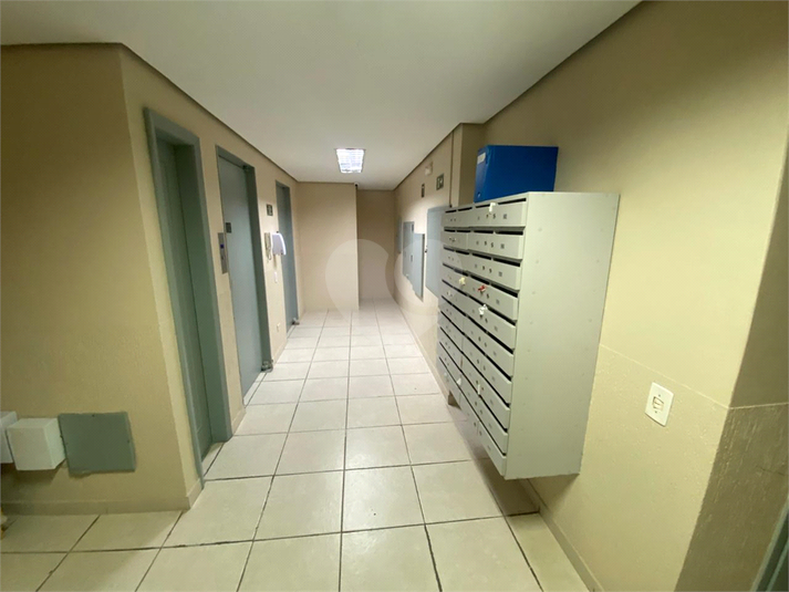 Foto REO1088639