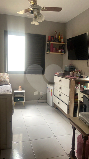 Foto REO1088641