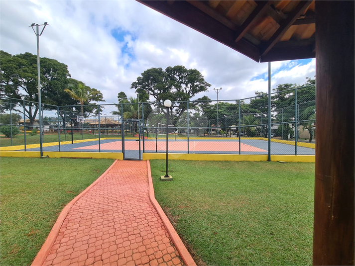 Foto REO1088644