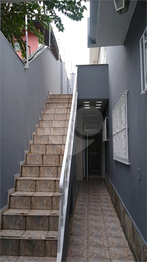 Foto REO1088663