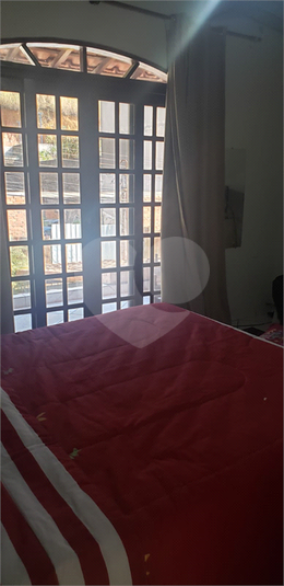 Foto REO1088674