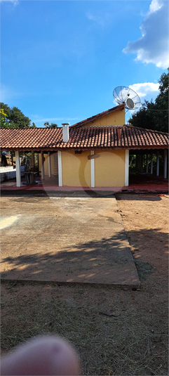 Foto REO1088687