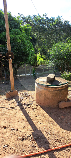 Foto REO1088687