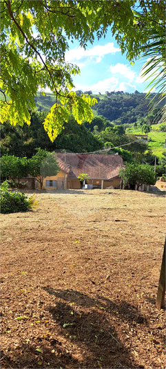 Foto REO1088687