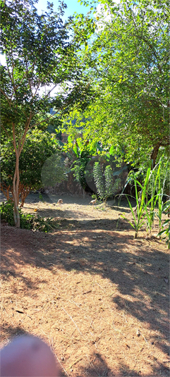 Foto REO1088687