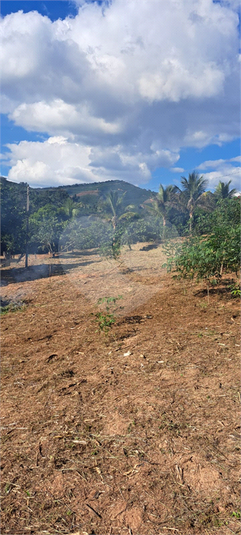 Foto REO1088687
